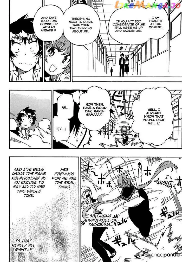 Nisekoi Chapter 175 image 16_optimized